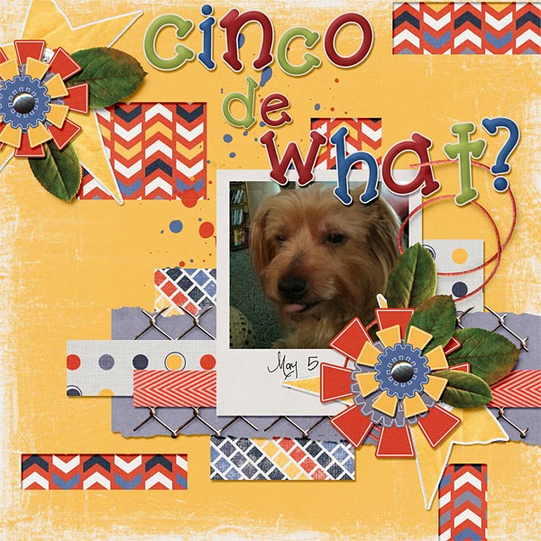 071-08-13-CincoDeWhatByCFALBRO