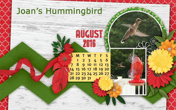 0716 Joan's hummingbird