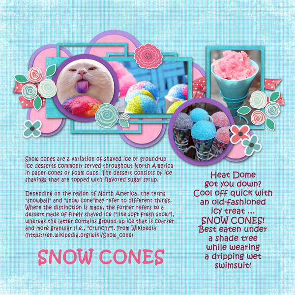 0716 Snow Cones