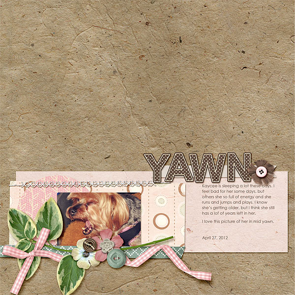 076-05-12-YawnByCFALBRO