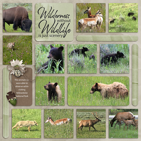 07_Yellowestone-wildlife-copy