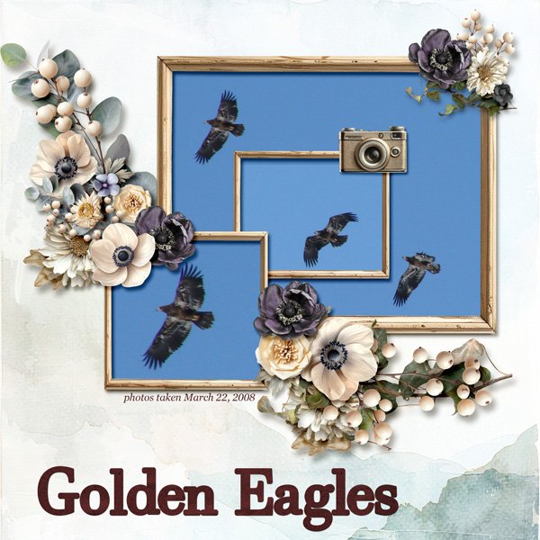 08-03-Golden Eagles small.jpg