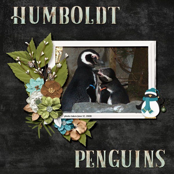 08-06-Humboldt Penguins small.jpg