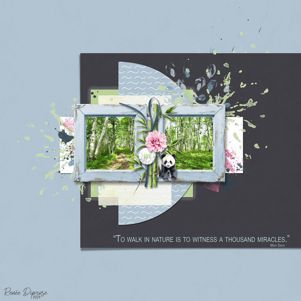 08-2024-Quote Challenge