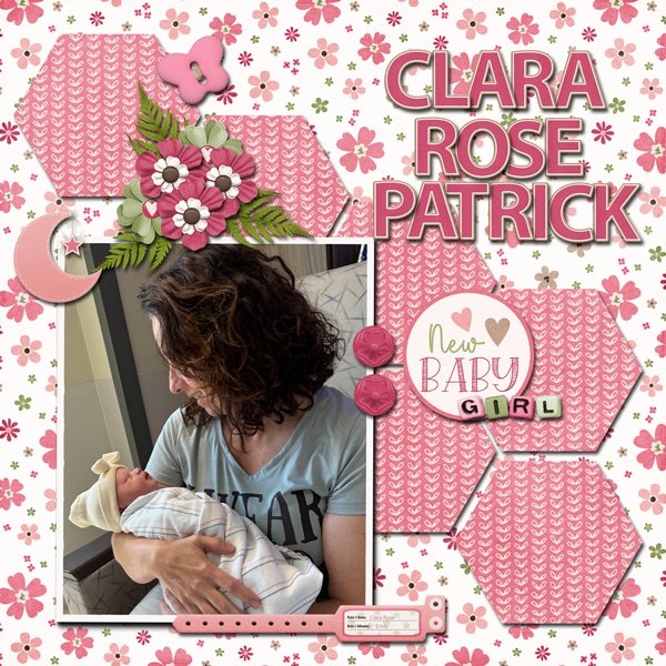 08-Aug-25-Template-Challenge-#1-Scrapbook-Crazy.jpg