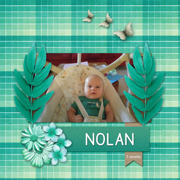 0817 Nolan at 3 months