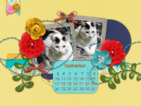 082017 September Desktop