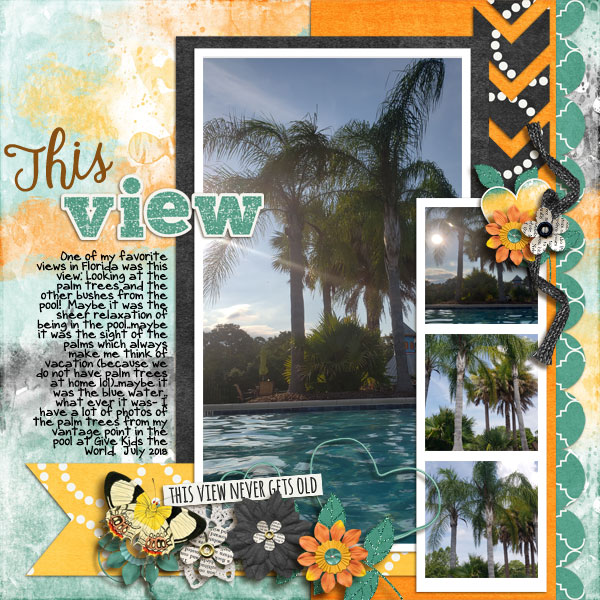 0821_cap_thebigpicvol13-chase-the-sun