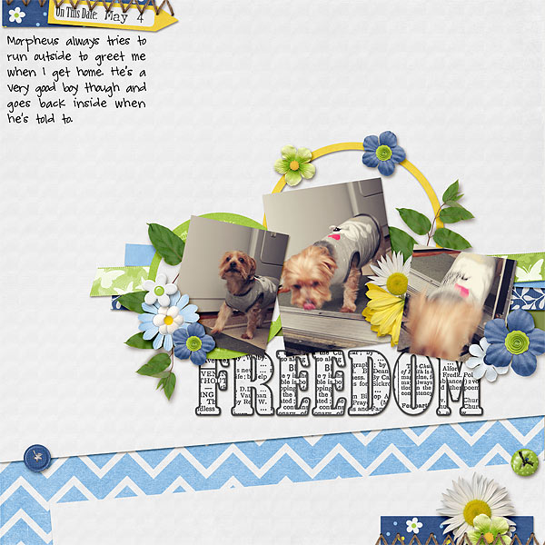 084-05-12-FreedomByCFALBRO