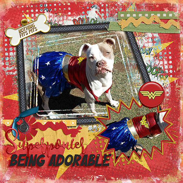 08_-_Super_Dog