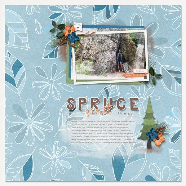 08_23_19_Giant-Spruce
