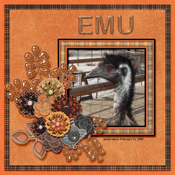 09-02-Emu small.jpg