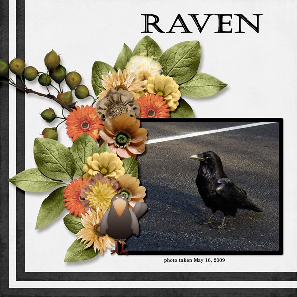 09-05-Raven small.jpg