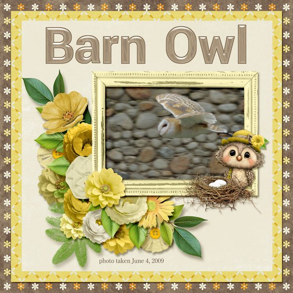 09-06-Barn Owl small.jpg
