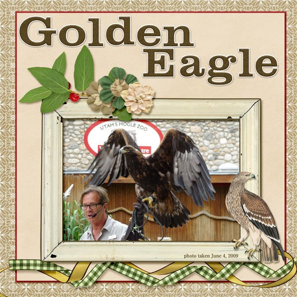 09-06-Golden Eagle small.jpg