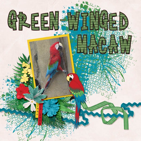 09-06-Green-winged Macaw small.jpg