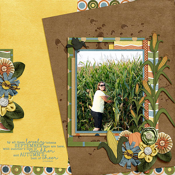 09-11 Corn Field