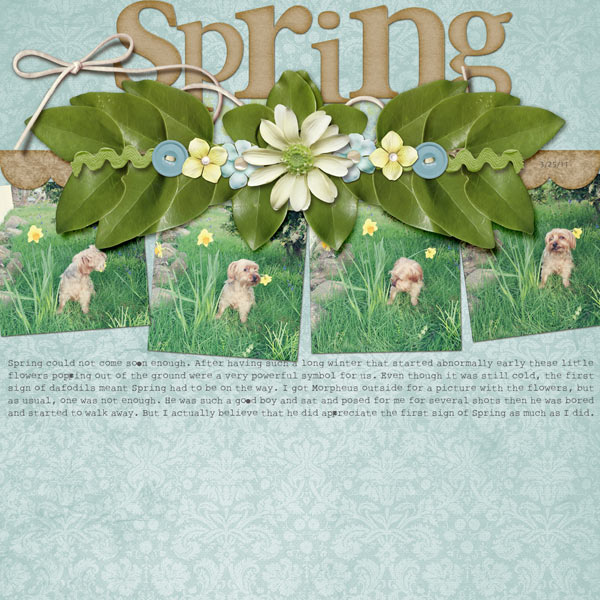 090-05-11-Spring