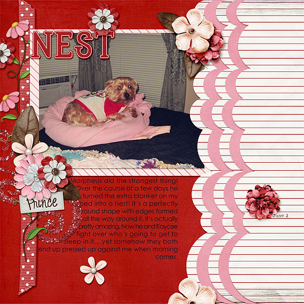 091-06-12-NestByCFALBRO