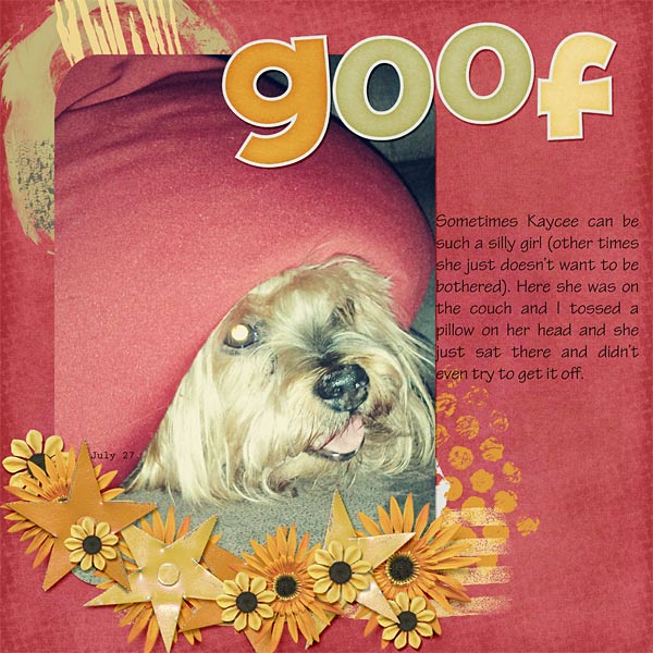 092-11-13-GoofByCFALBRO