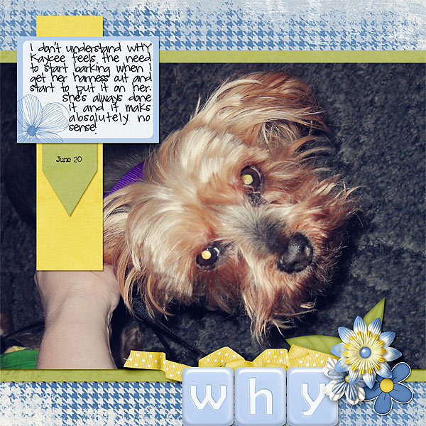 094-06-12-WhyByCFALBRO