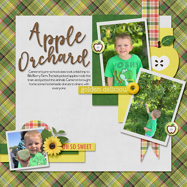 09_Cameron-picking-apples-web