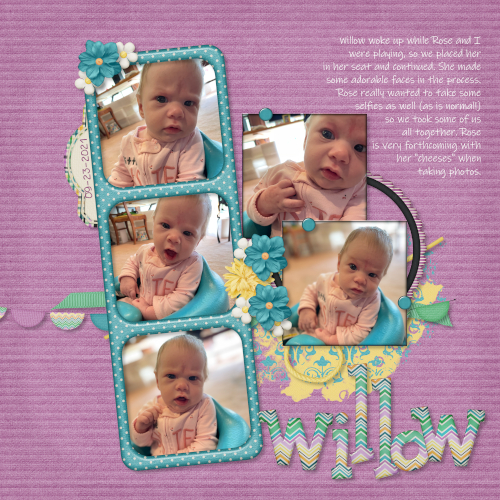 09_willow_talks