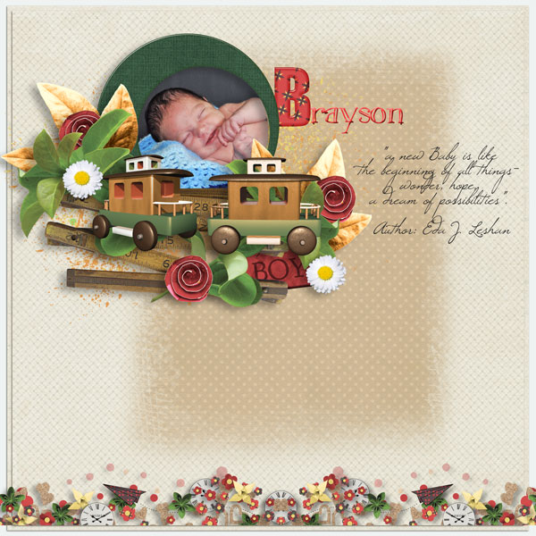1-Brayson