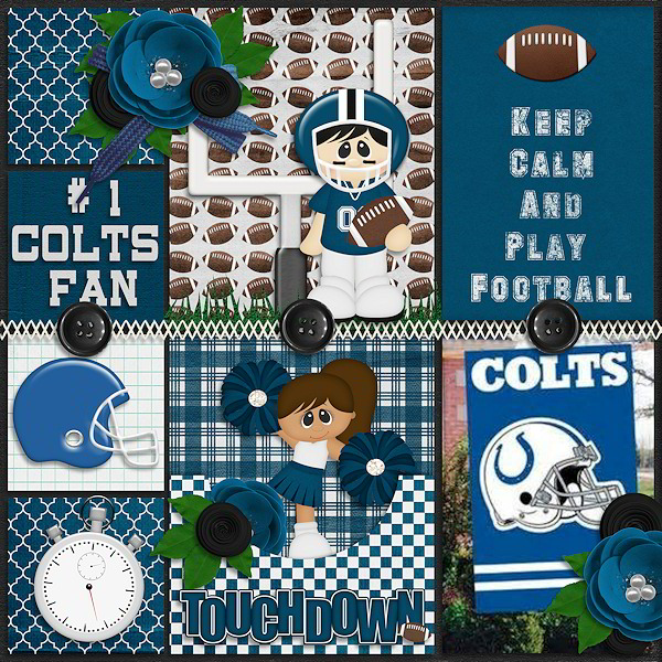 #1 Colts fan
