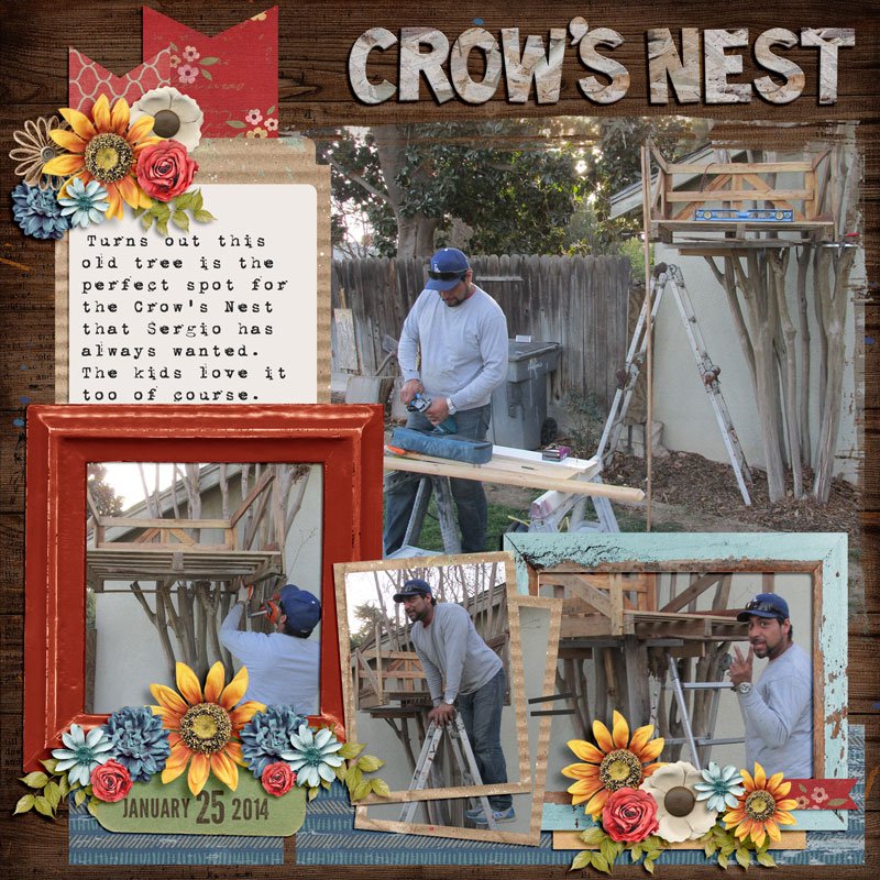 1--Crow's-Nest.jpg