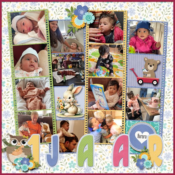 1 Jaar Aurora