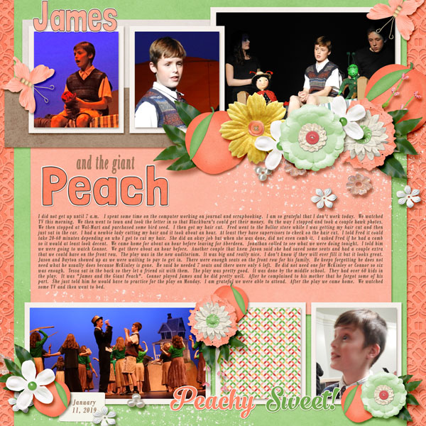 1-January_11_2019_fuzz_on_the_peach