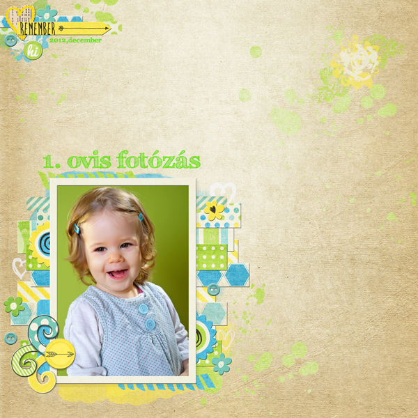 1. ovis fotzs