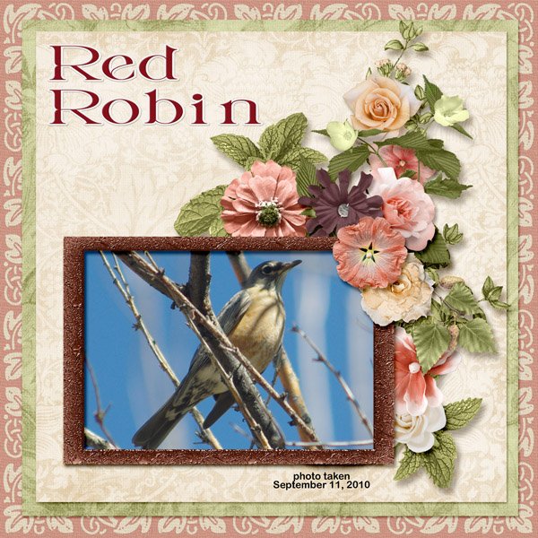 10-09-Red Robin small.jpg