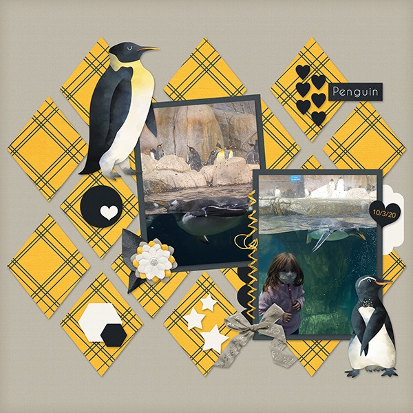 10-3-20penguinsmall.jpg