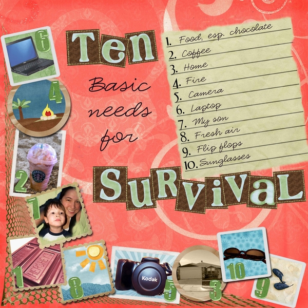10 Basic needs