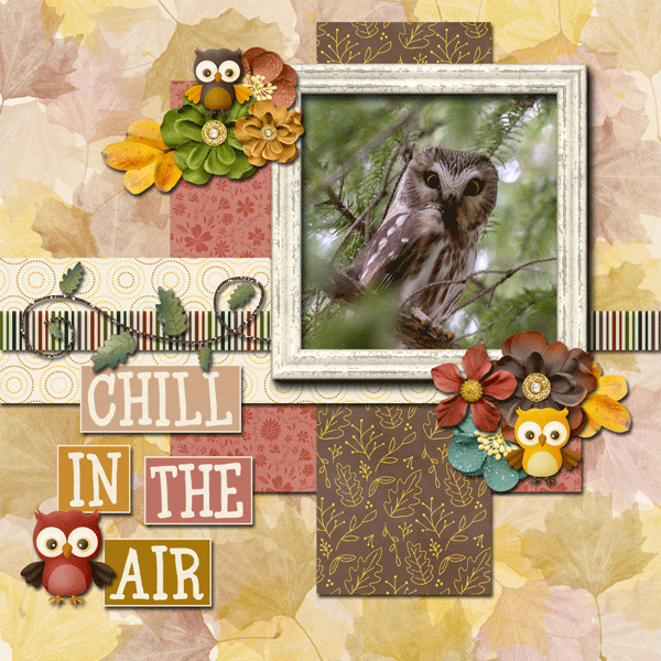 10-Oct-24-Memory-Mix-Up-Challenge