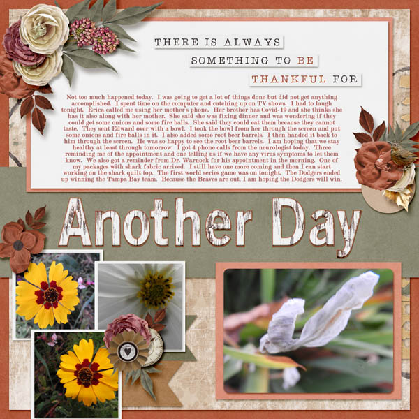 10-October_20_2020-2020_November