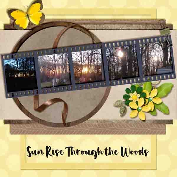 10 Sun rise throughthe  woods -- Font_edited-1.jpg