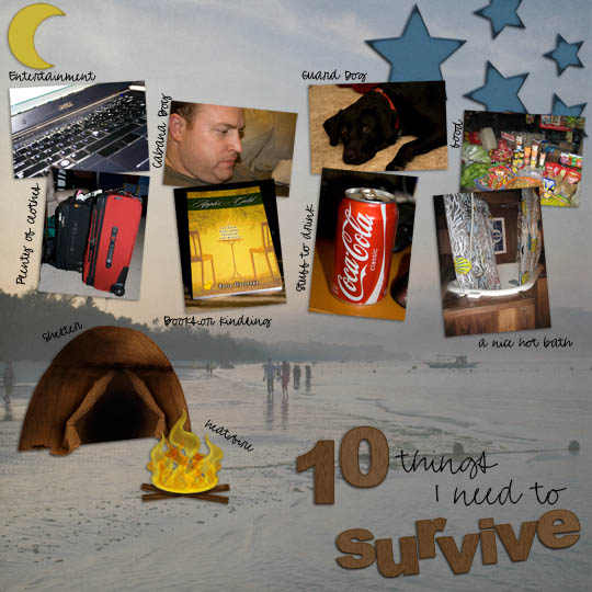 10 Things I Need to Survive