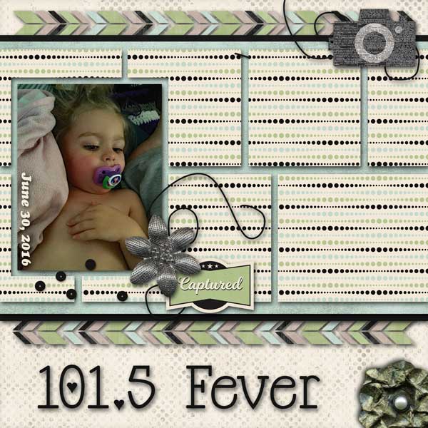 101.5 Fever