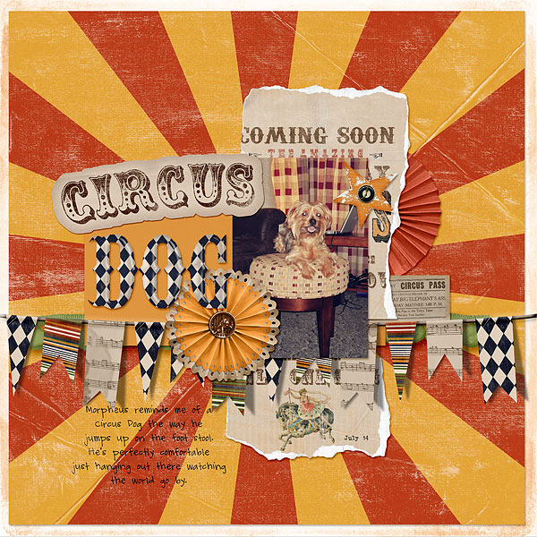 104-07-12-CircusDogByCFALBRO