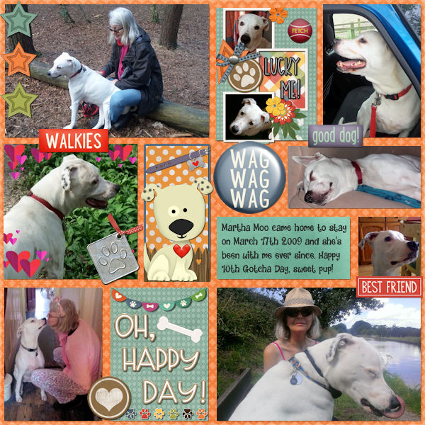 10th Gotcha Day for Martha Moo