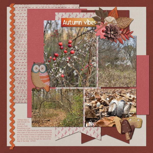 11-03-23_Fall_Vibes_CKD