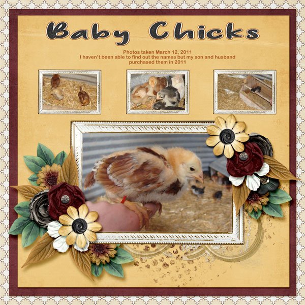 11-03-Baby Chicks small.jpg