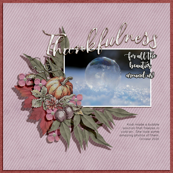 11 - 2020 NOVEMBER CHALLENGE