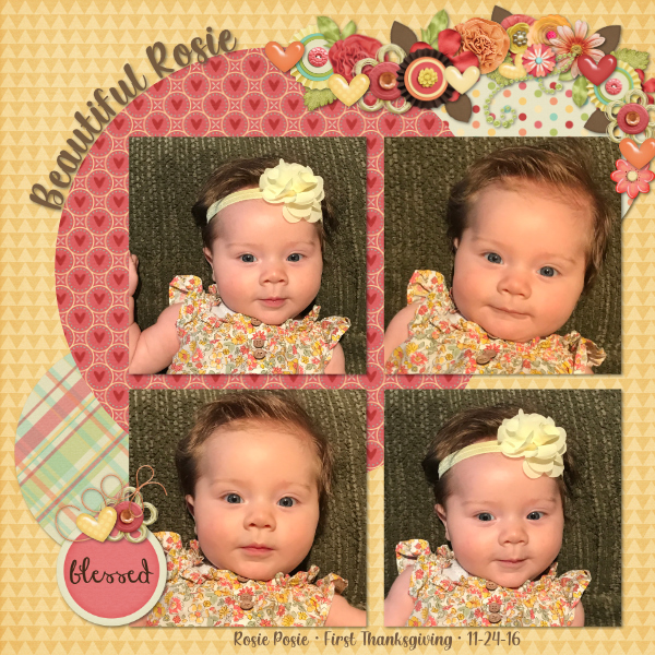 11-24-16_Rosie_Posie_600