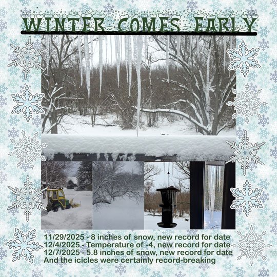 11-Early-winter.jpg