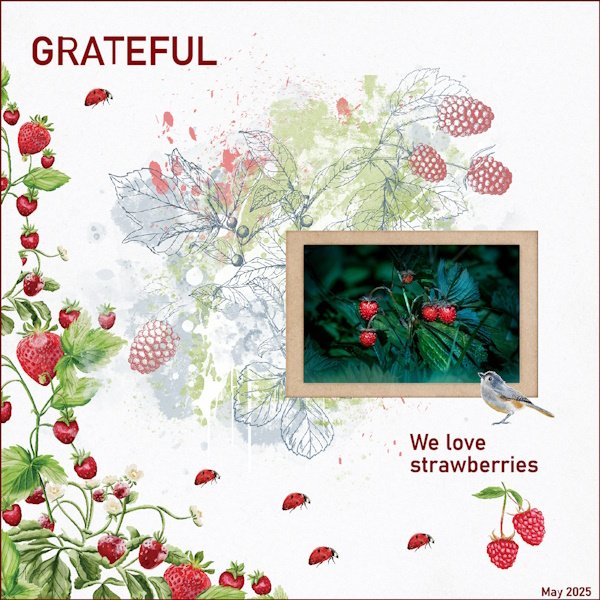 -11 - May 2025 In A Word Challenge-Strawberries.jpg
