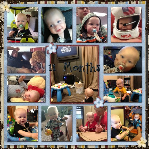 11 Months